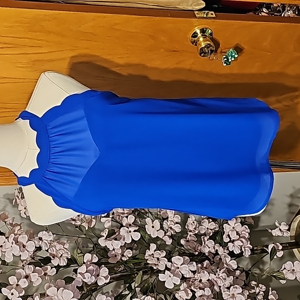 Leaving Closet Soon! Anthropologie Monteau Royal Blue Tank Top Sz S
